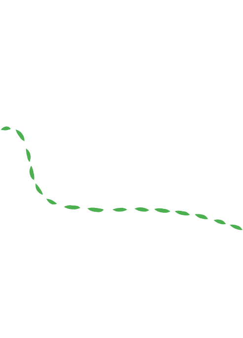 dashed line
